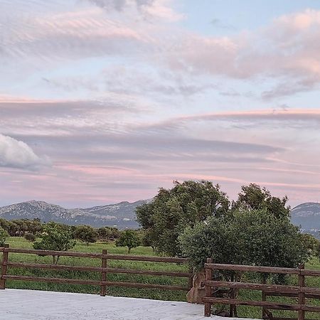 Bed&Breakfast Pira pinta Dorgali Bagian luar foto