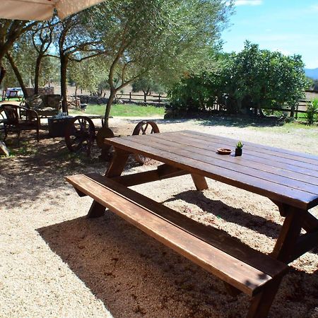 Bed&Breakfast Pira pinta Dorgali Bagian luar foto
