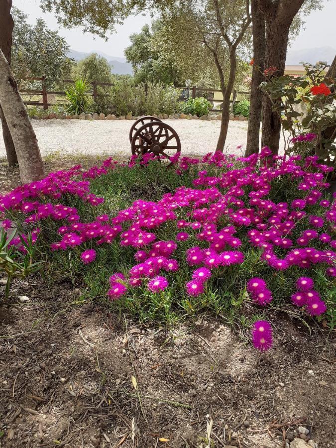 Bed&Breakfast Pira pinta Bed & Breakfast Dorgali Bagian luar foto