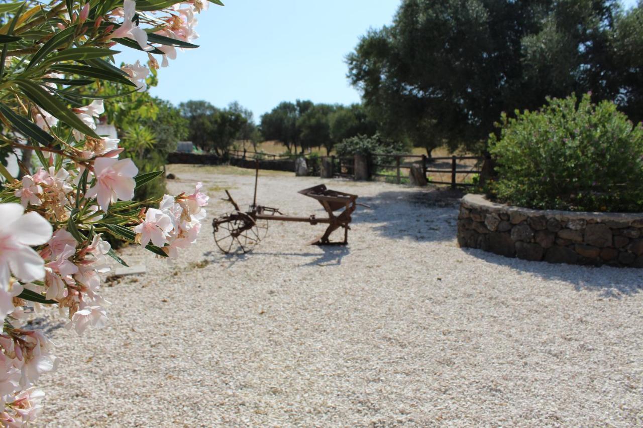 Bed&Breakfast Pira pinta Dorgali Bagian luar foto