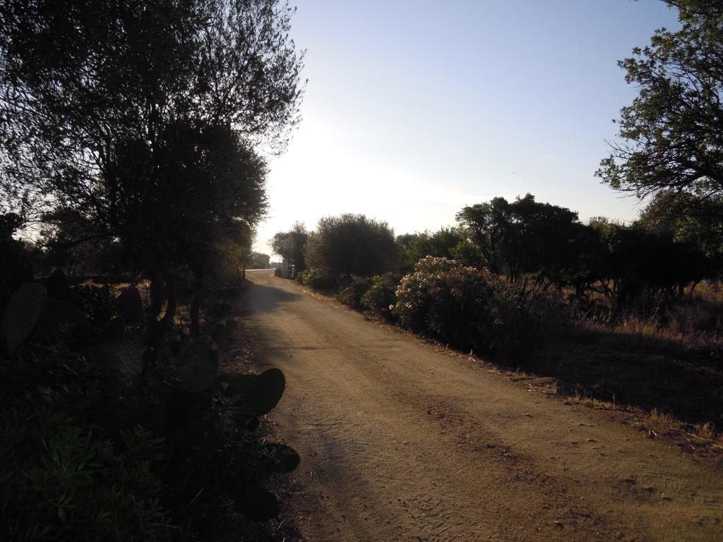 Bed&Breakfast Pira pinta Dorgali Ruang foto