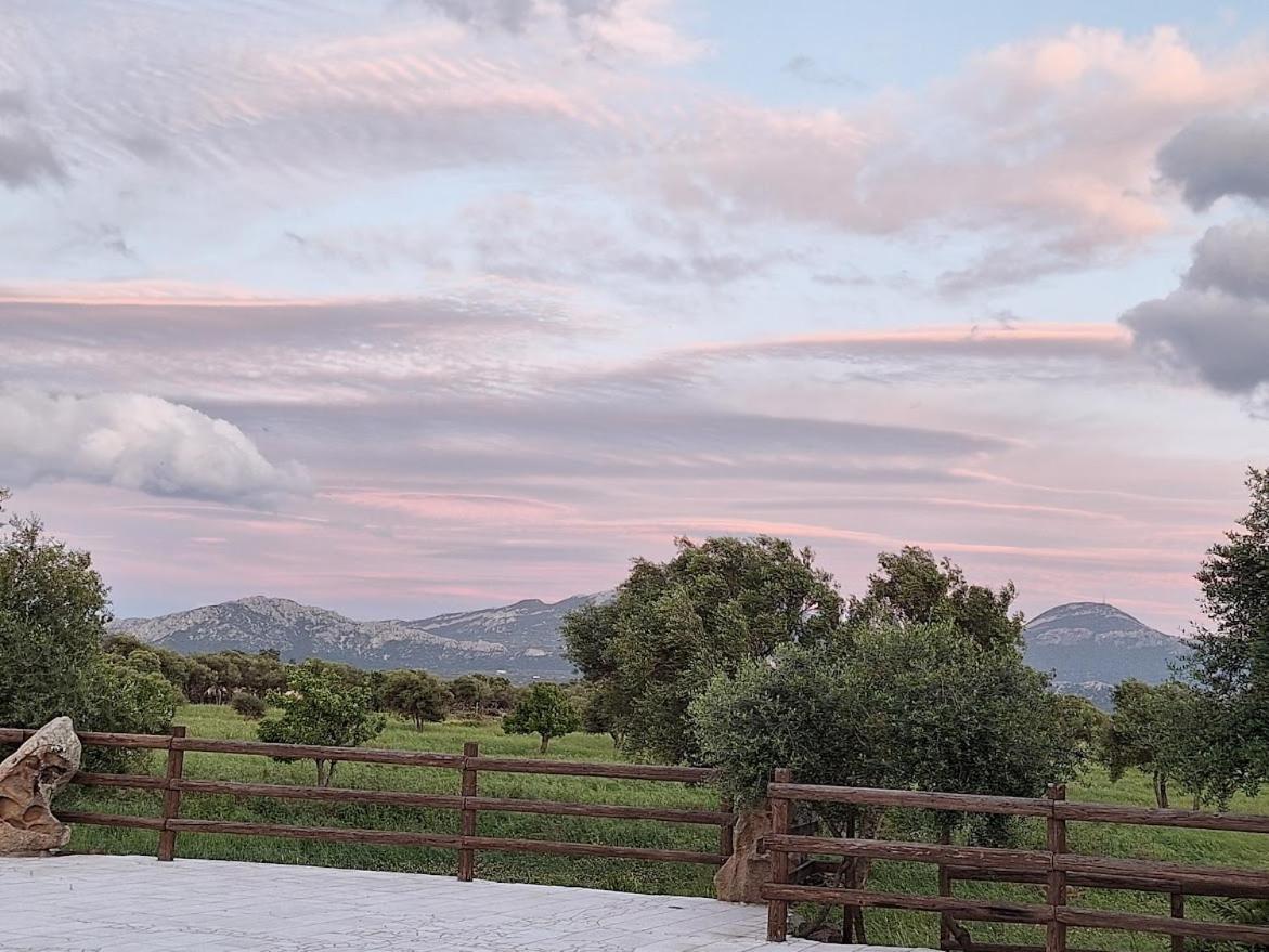 Bed&Breakfast Pira pinta Dorgali Bagian luar foto