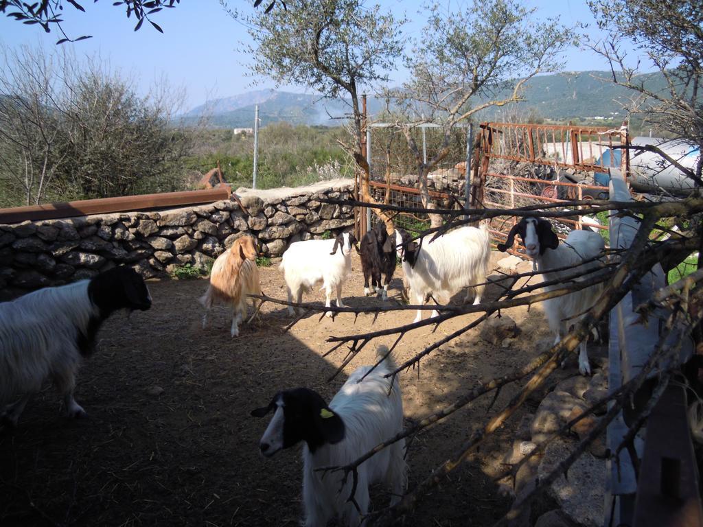 Bed&Breakfast Pira pinta Dorgali Bagian luar foto