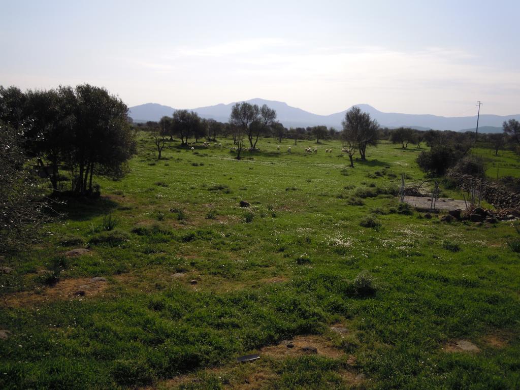 Bed&Breakfast Pira pinta Dorgali Ruang foto