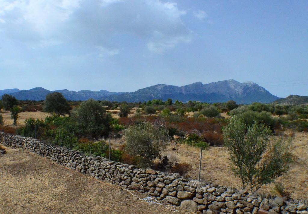 Bed&Breakfast Pira pinta Dorgali Bagian luar foto