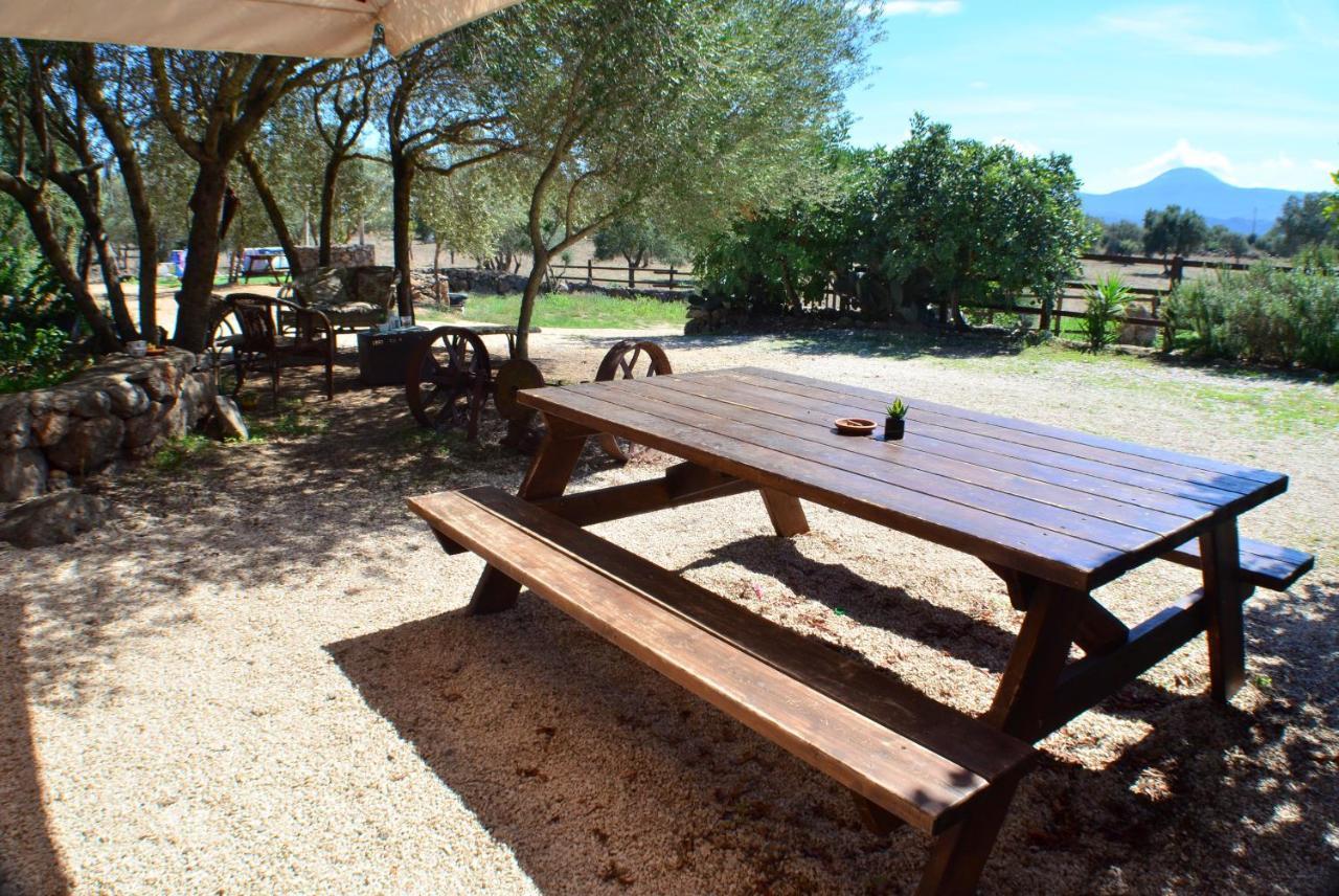 Bed&Breakfast Pira pinta Dorgali Bagian luar foto