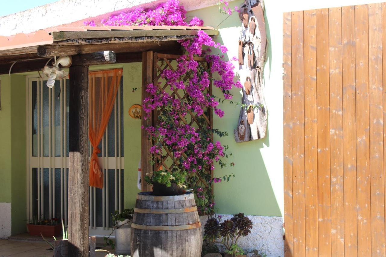 Bed&Breakfast Pira pinta Dorgali Bagian luar foto